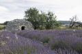 20210628-Provence-09-33-03-012