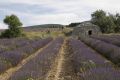 20210628-Provence-09-36-53-017
