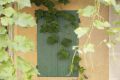 20210629-Provence-09-45-45-022