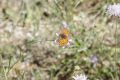 20210629-Provence-11-28-55-039