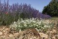 20210630-Provence-10-32-35-024