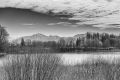 HARTSEE