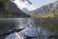 THUMSEE
