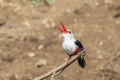 Cabo Verde, Kapverden