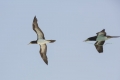 Cabo Verde, Kapverden