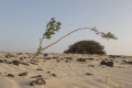 Cabo Verde, Kapverden