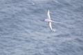Cabo Verde, Kapverden