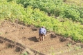 Cabo Verde, Kapverden