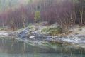 20230219-Norwegen-10-03-44-009 20230219-Norwegen-10-03-44-009