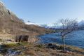 20230220-Norwegen-12-07-03-011 20230220-Norwegen-12-07-03-011