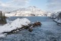 20230224-Norwegen-11-49-35-012 20230224-Norwegen-11-49-35-012