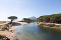 20190317-Sardinien-11-50-36-020