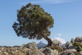 20190318-Sardinien-14-43-52-155