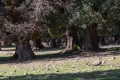 20190318-Sardinien-14-50-28-157