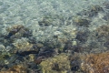 20190319-Sardinien-10-56-38-018