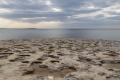 20190321-Sardinien-16-42-22-085