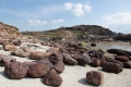 20190322-Sardinien-14-26-50-054