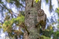 20180519 Slowenien 07-57-55 001