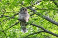 20180521 Slowenien 07-31-22 001