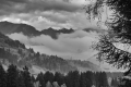 20251021-Gilfenklamm-16-34-01-044