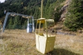 20251024-Ridnaun-12-47-15-003