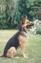 1982-07-25 4134 ASSI 1982-07-25 4134 ASSI
