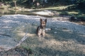 1985-09-29 4954 WANDERUNG AUF DEN WANK 1985-09-29 4954 WANDERUNG AUF DEN WANK