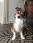 20170415 NEMO 12-08-35 20170415 NEMO 12-08-35