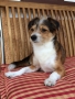 20190617 NEMO 14-25-53 20190617 NEMO 14-25-53